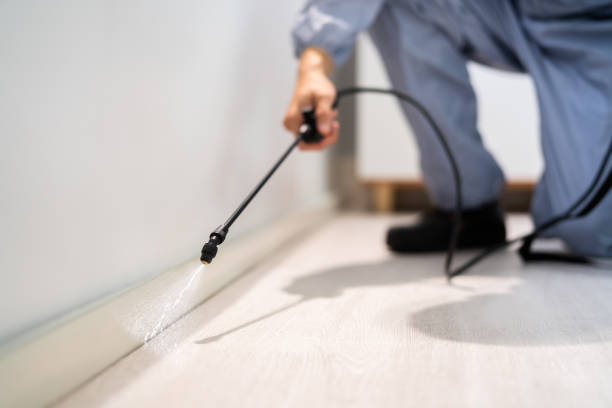 Licensed Pest Control service in Trumansburg, NY - Show Me Pest Control