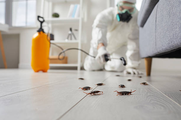 Commercial Kitchen Cockroach Control in Trumansburg