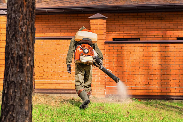 Cockroach Follow-Up and Monitoring in Trumansburg